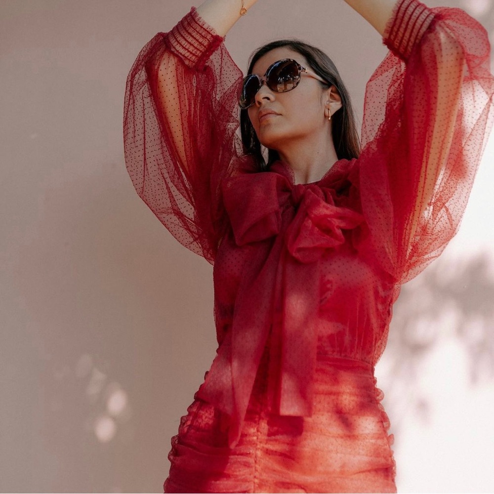 Zara tulle swiss dot ruched mini dress.